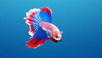 九游官方网站-九游官网官方入口